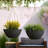 Bee Honeycomb Plastic Hanging Planter (Set of 2)-93631316-93631318