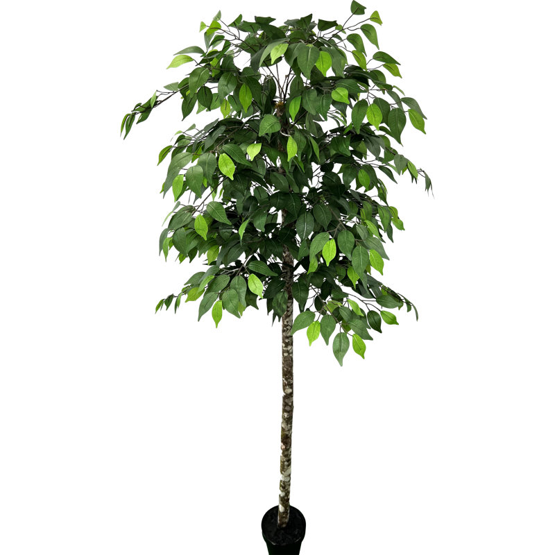 Ficus artificiel moderne de 6,5 po fabriqué à la main Primrue