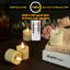 Ensemble de 12 bougies votives DEL rechargeables avec mèche 3D, sans flamme, couleur ivoire vacillante