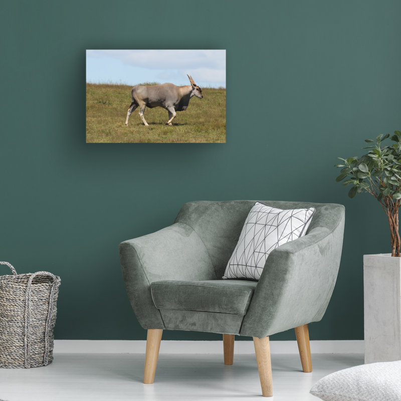 Bob Langrish Eland Canvas Art, 12" H x 19" W
