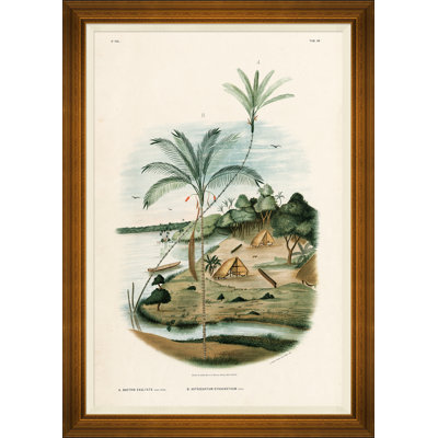 African Palms Giclee Print