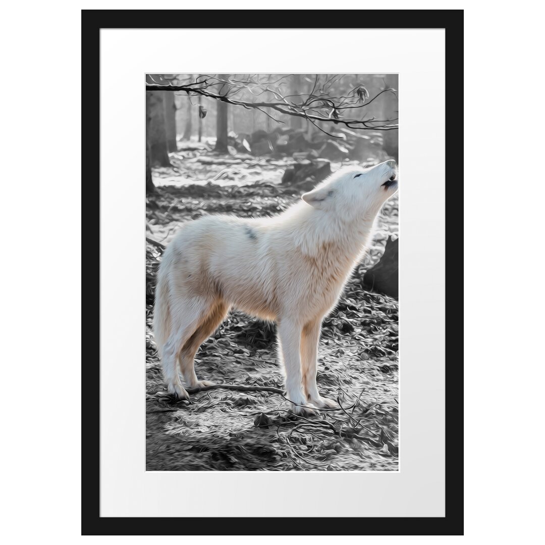 Gerahmtes Poster Weißer Jaulender Wolf im Wald