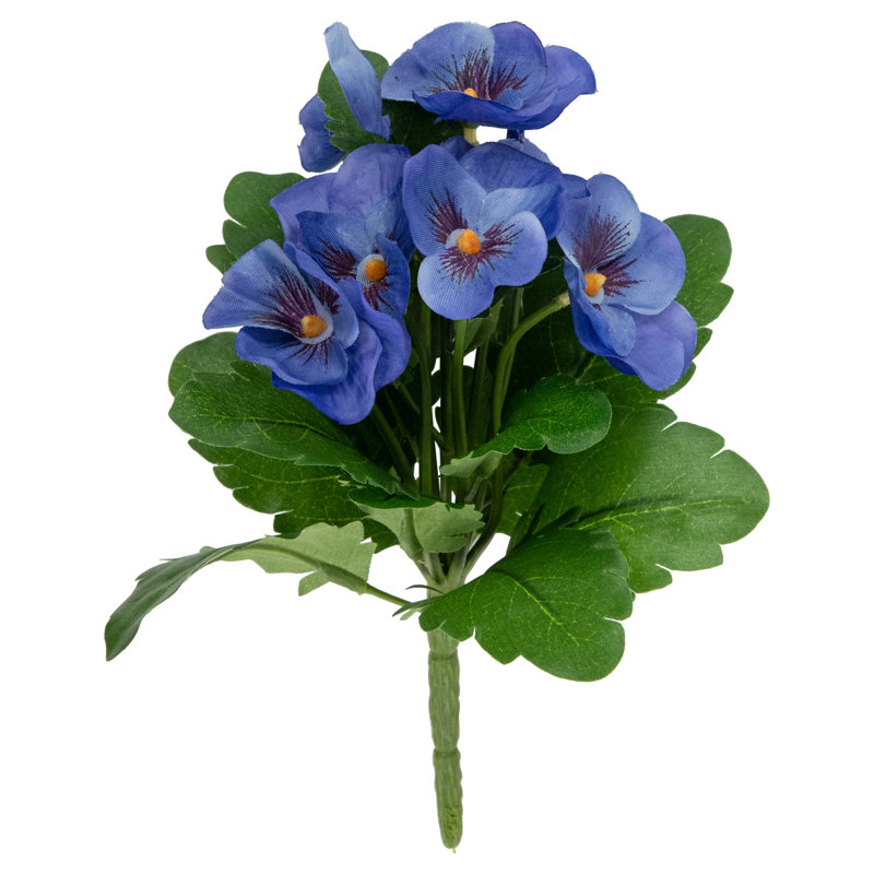 Tige de marguerite