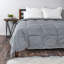  Édredon en duvet moyen C105-289675539-289675541