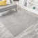 Asaiah Solid Low-Pile Light Gray Rug