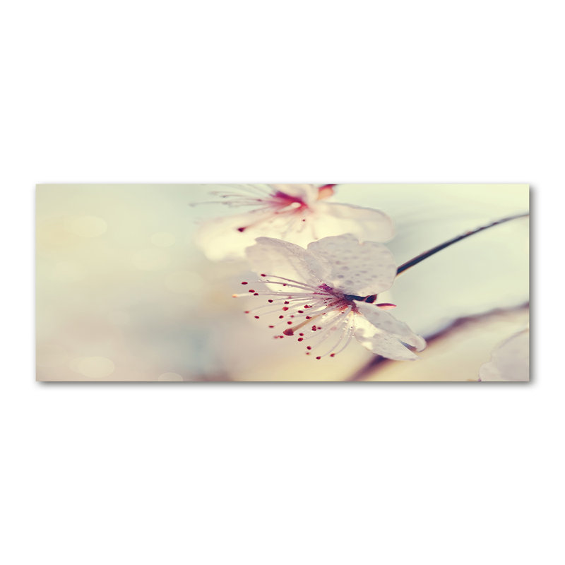 Cherry Blossom - No Frame Print on Canvas