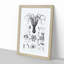 Octopus Illustrations by E.F. Jomard - Picture Frame Drawing Print-55723886-55723892