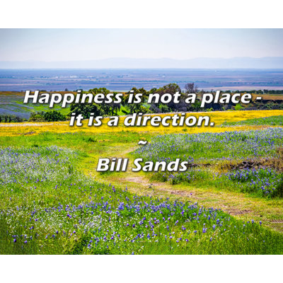 Bill Sands Quote: Happiness is not a place - it is a direction.