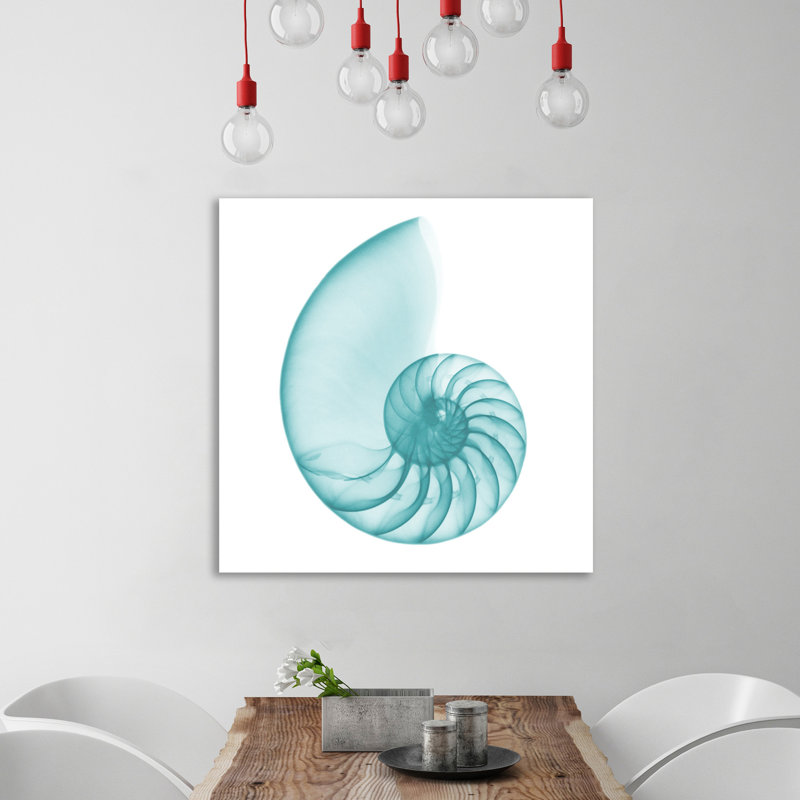 Turquoise Sea Shell - Wrapped Canvas Print, 91 cm H x 91 cm W