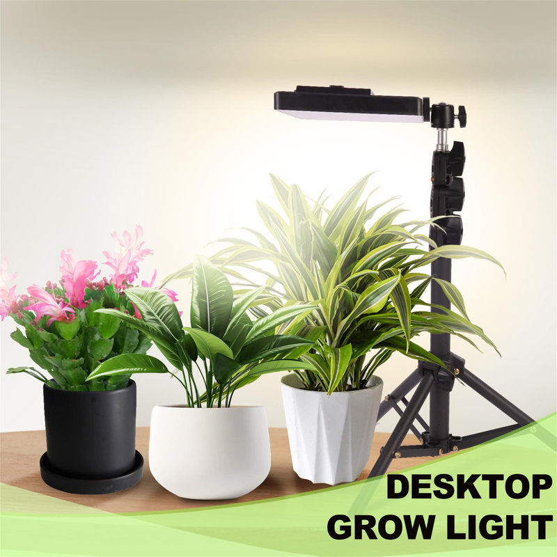 Maker Network Grow Light