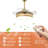 Lovash 36'' Ceiling Fan with LED Lights