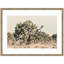 «Joshua Tree No. 1» par Alicia Bock, reproduction d'art encadrée