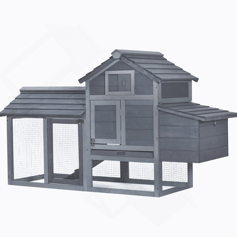 Poulailler durable et fonctionnel pour les poules heureuses, Gris