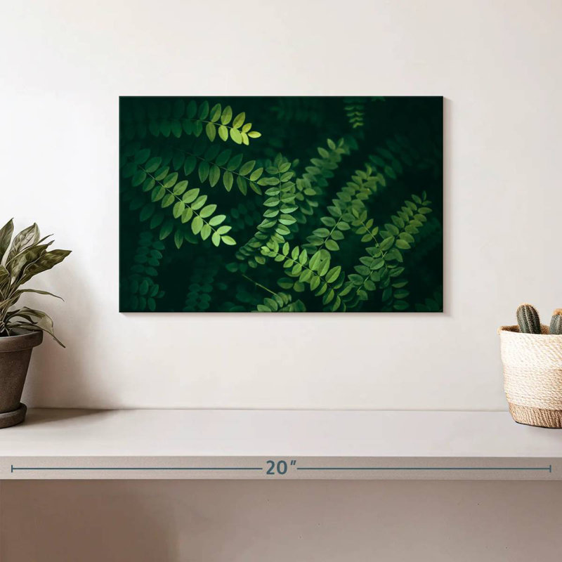 Feuilles d'acacia Harnek, H 8 po x l 12 po