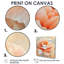 Art floral sur toile Pony Peach-1264526356-1264526357-1264526346