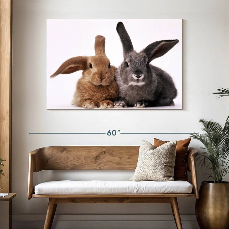 Lapins bruns et gris, H 32 po x l 48 po