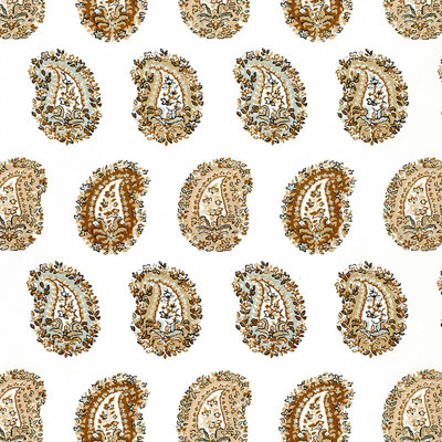 Arklow Paisley Fabric
