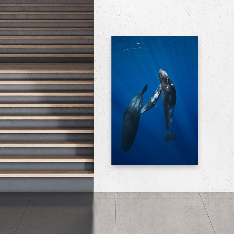 Whale Family Underwater Peaceful Abstract Contemporary Whale Nature Ocean Wall Art Print 1 Piece Wrapped Canvas Wall Art