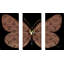 "Louis Vuitton Butterfly" par Jodi, impression sur toile tendue 3 pièces-896124162