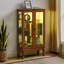 Cabinet Curio avec tablettes réglables et panneau arrière en miroir