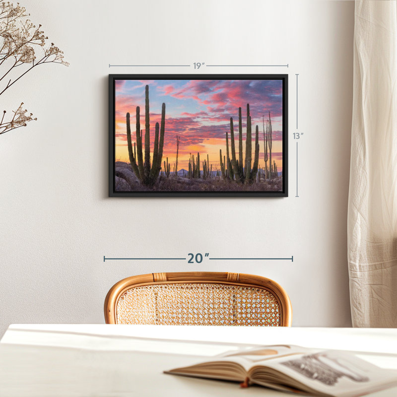 Nature «Art mural Baja California Sunrise», H 13 po x l 19 po