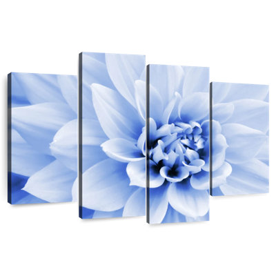 Dahlia bleu pastel Harnek