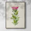 «Pretty Pink Botanicals IV», reproduction encadrée - bois massif-1156763834