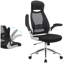 Brinlea Mesh Office Chair with Headrest