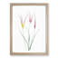 Horned Tulip Flowers by Pierre-Joseph Redoute - Picture Frame Painting Print-55580339-55580341