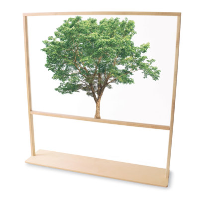 Nature View Clear Classroom Divider
