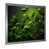 Silver Single Picture Framed