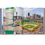Graphic Image Ballparks Past And Present Coffee Table Book, Leather, Tan