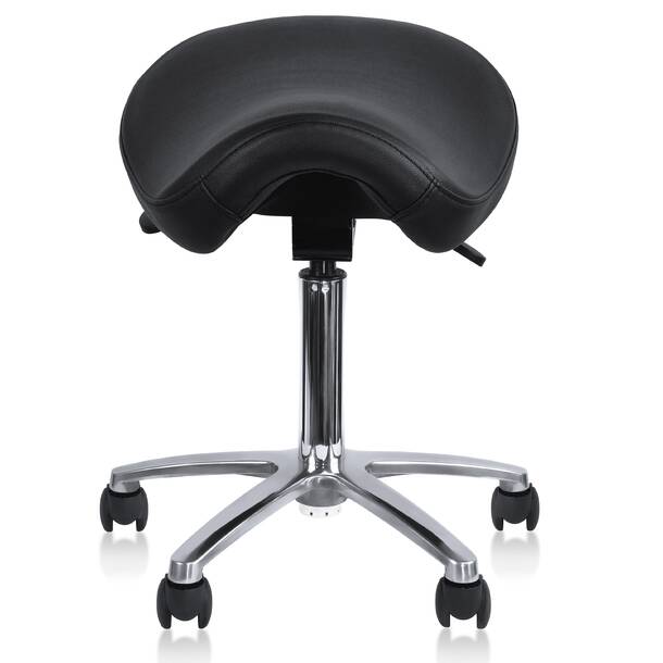 Inbox Zero Backed Adjustable Height Ergonomic Lab Stool with Footring ...