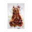 Brown Bear by Cornel Vlad - Wrapped Canvas Print-1372913038
