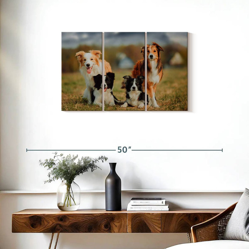 Border Collie Dogs, 20" H x 33" W
