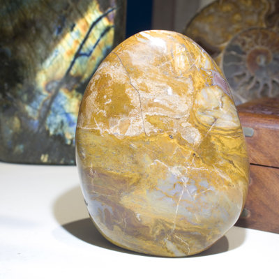 Colorful Ocean Jasper Free Form