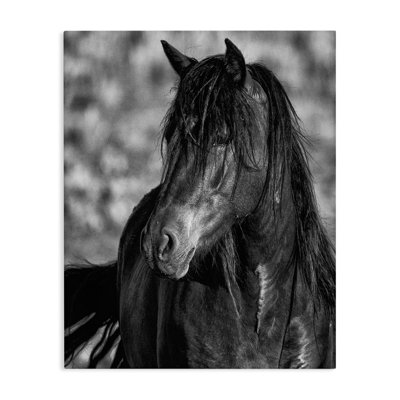 Beauty In Black Canvas, design by Tim West