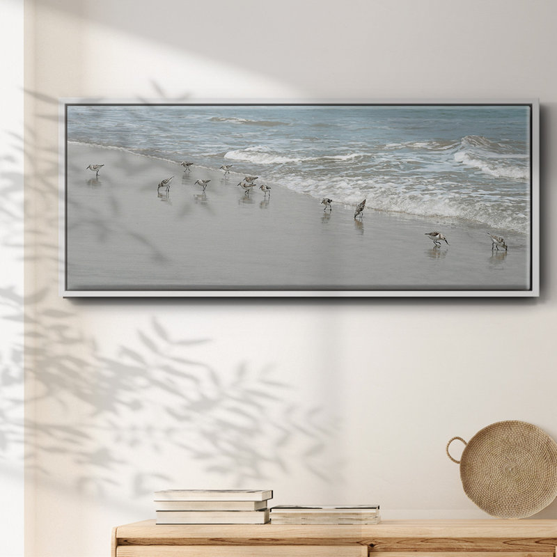 Shorebirds- Framed Canvas