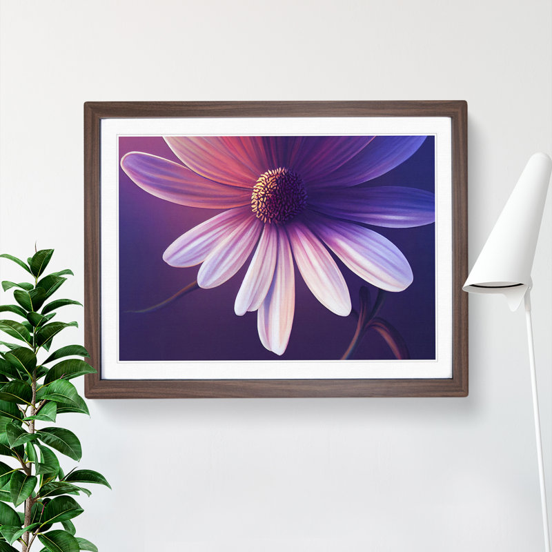 XH1022-9673X Virtuous Daisy Flower 1 Piece Single Picture Frame Wall Art, 34cm H x 46cm W, Brown