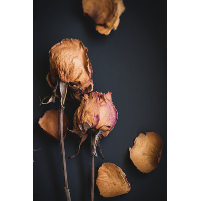 Wilted Dreams I - Wrapped Canvas Print
