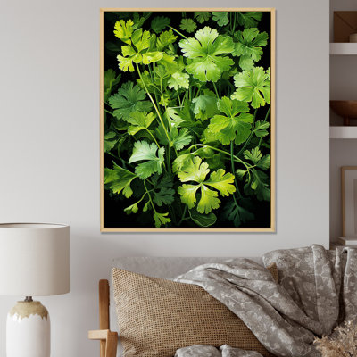 Herbes, coriandre, éclaboussure 4 - Art floral