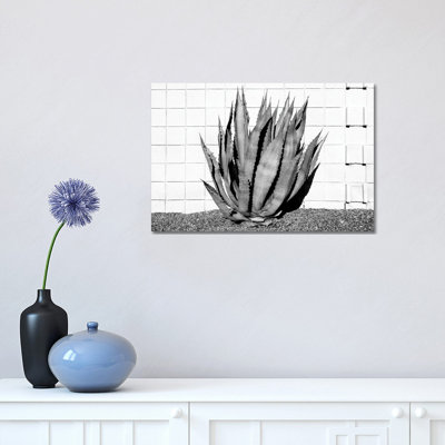 Agave by Philippe Hugonnard - Wrapped Canvas Print