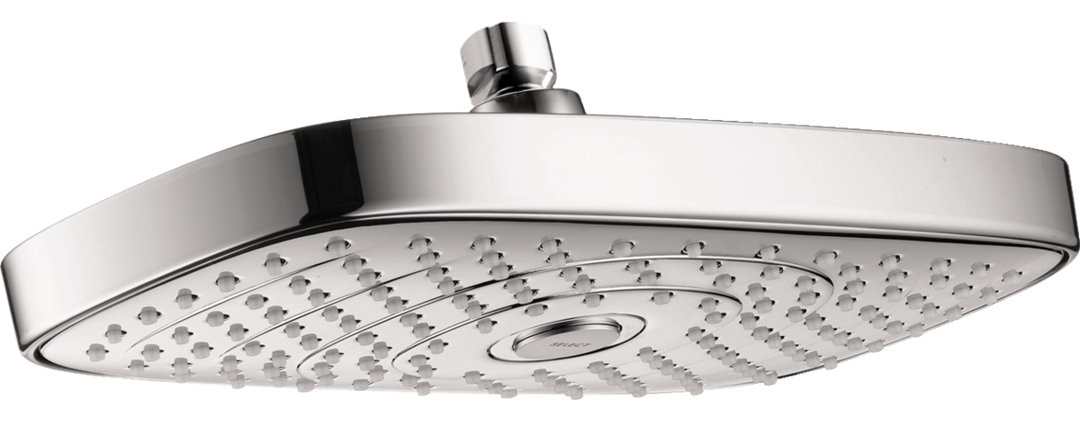 Raindance E300 Rain Shower Head with Select Hansgrohe 