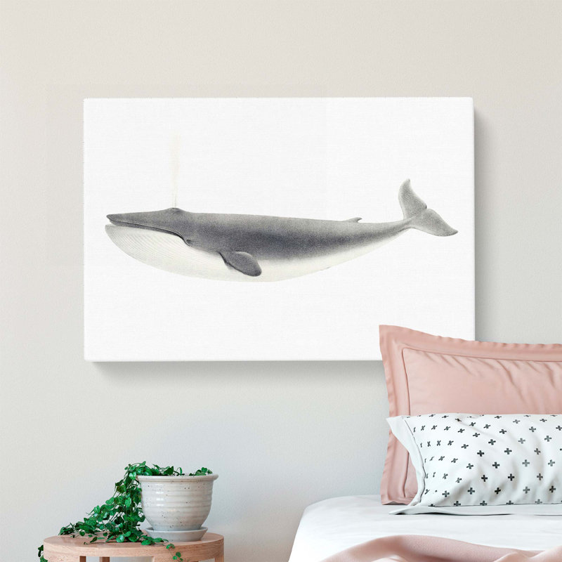 Blue Whale by C.M. Scammon - Wrapped Canvas, 40cm H x 60cm W x 3cm D