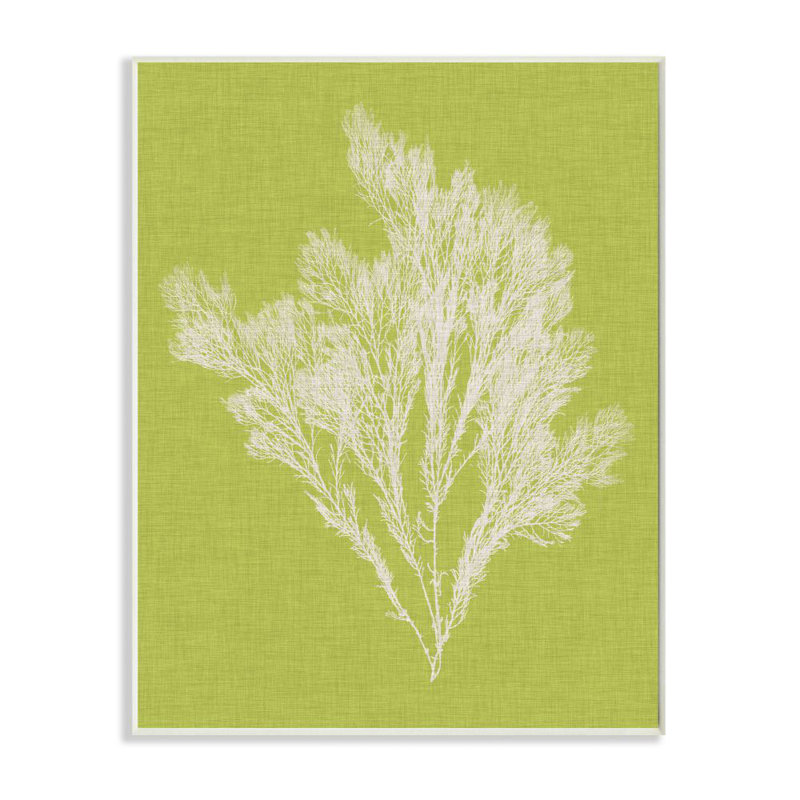 « corail, vert blanc beach », impression, H 10 po x l 15 po, Plaque murale