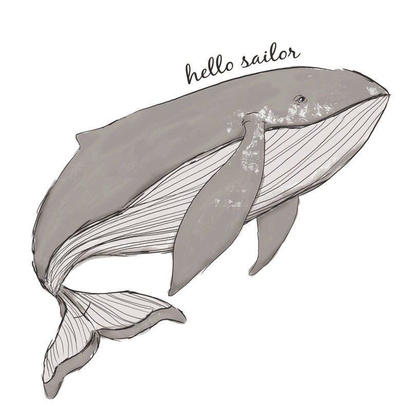 Hello Sailor Whale - Wrapped Canvas Painting, 30cm H x 30cm W x 3.8cm D