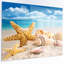 «Starfish and Seashells on Beach», photographie-1098963769-1098963763