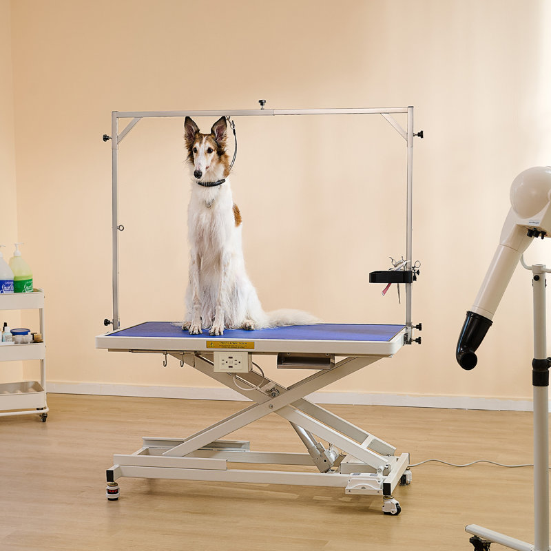 47" Electric Pet Grooming Table Dog Grooming Station Height Adjustable, White