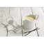 Portmeirion Sophie Conran White Sauce Jug & Mini Ladle Set