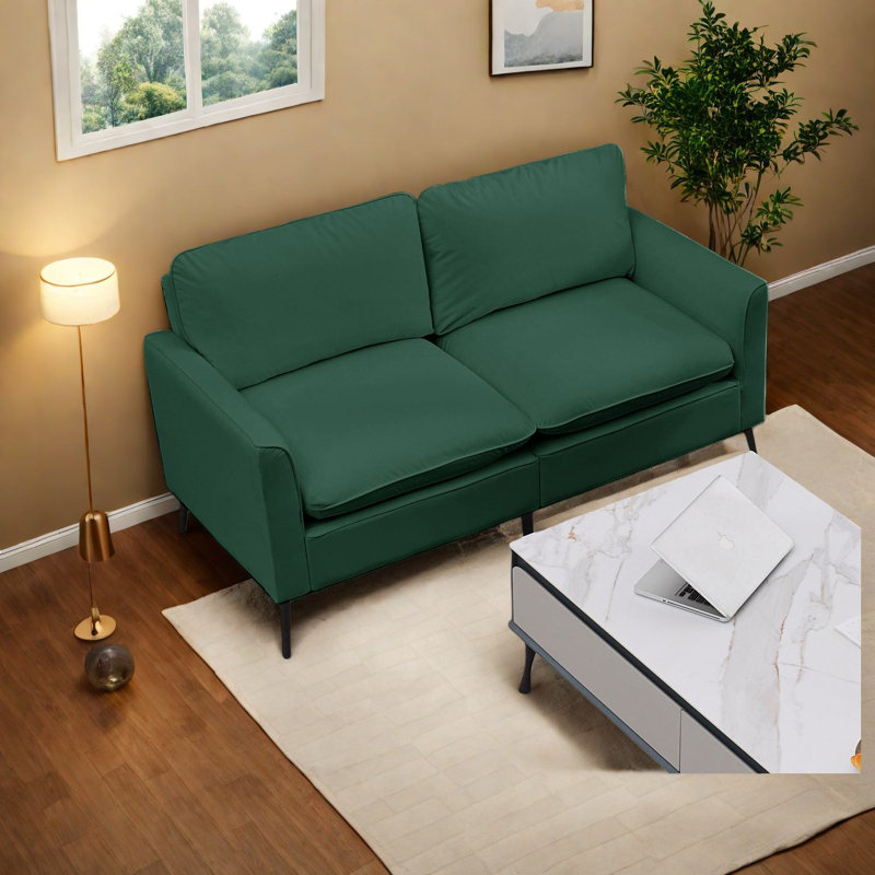 Comfortable Sofas, Leather 55.91 Inch Modern Compact Home Loveseat
